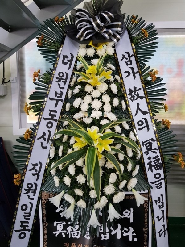 뱸Ƽʽ...