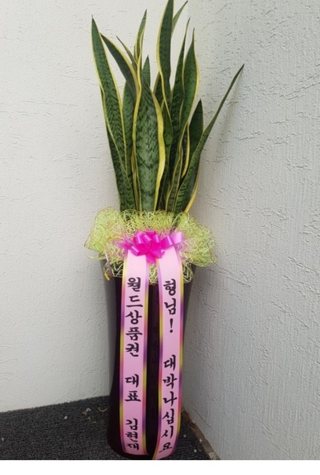  伺...