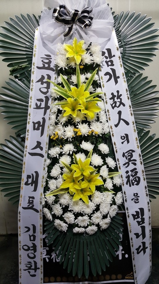 뱸Ƿ ȭʽ...
