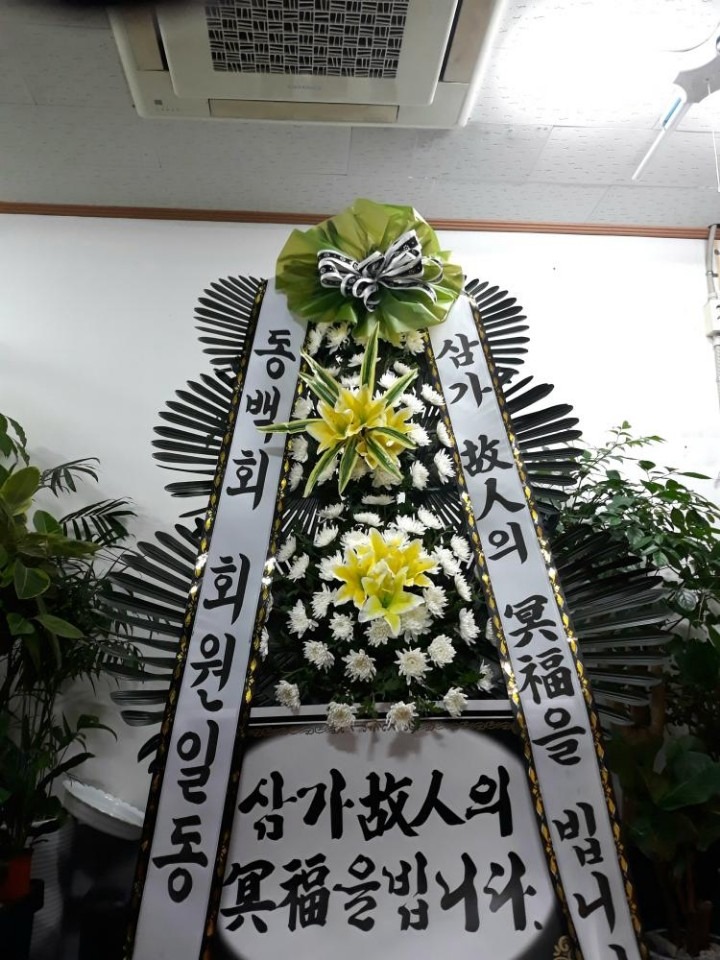 뿵eʽ....