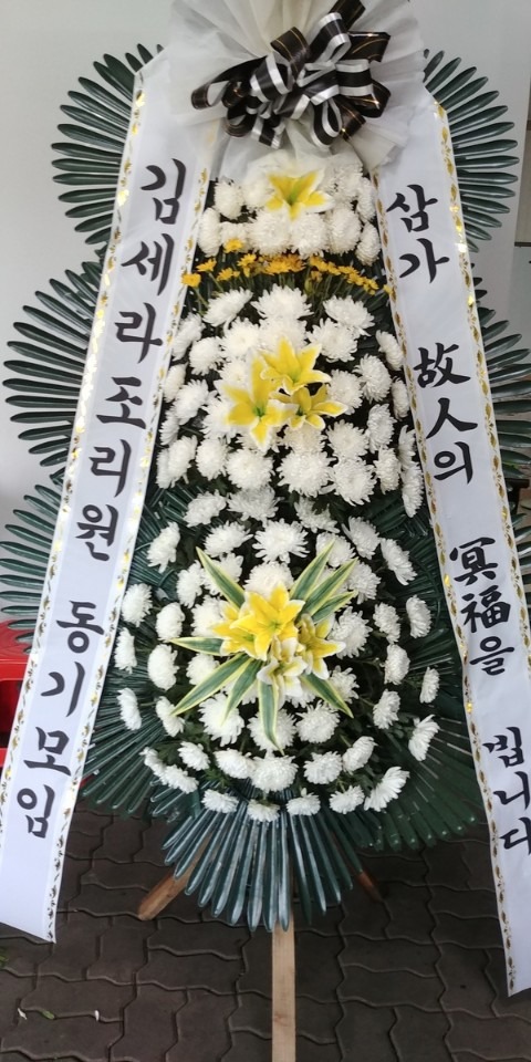 ֽ Ǳ뺴ʽ....