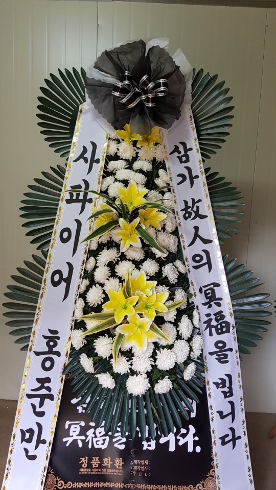 뱸 Ϻʽ...
