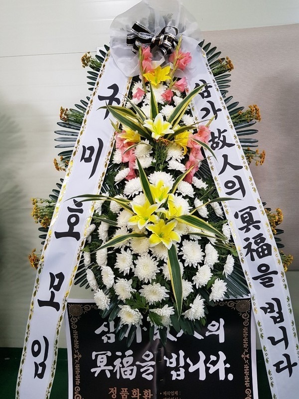 뱸 꺴ʽ...