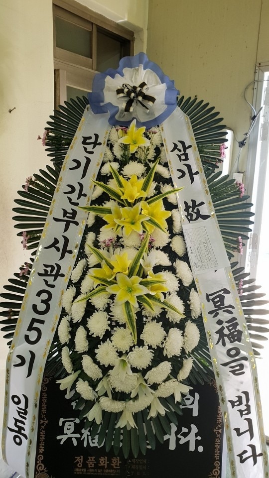 뱸纴ʽ...