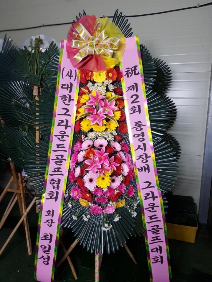뿵 볲Ȱü...