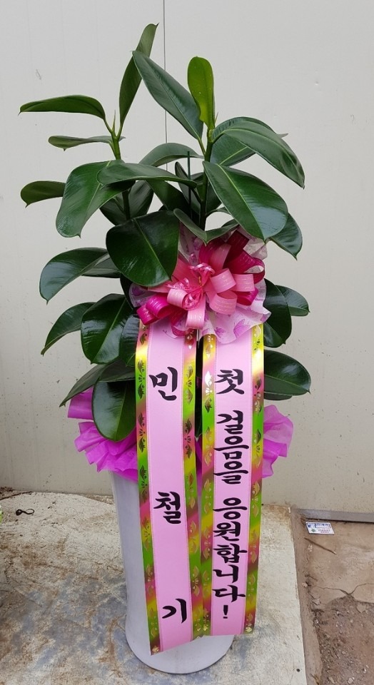 뱸 ޼ ž...