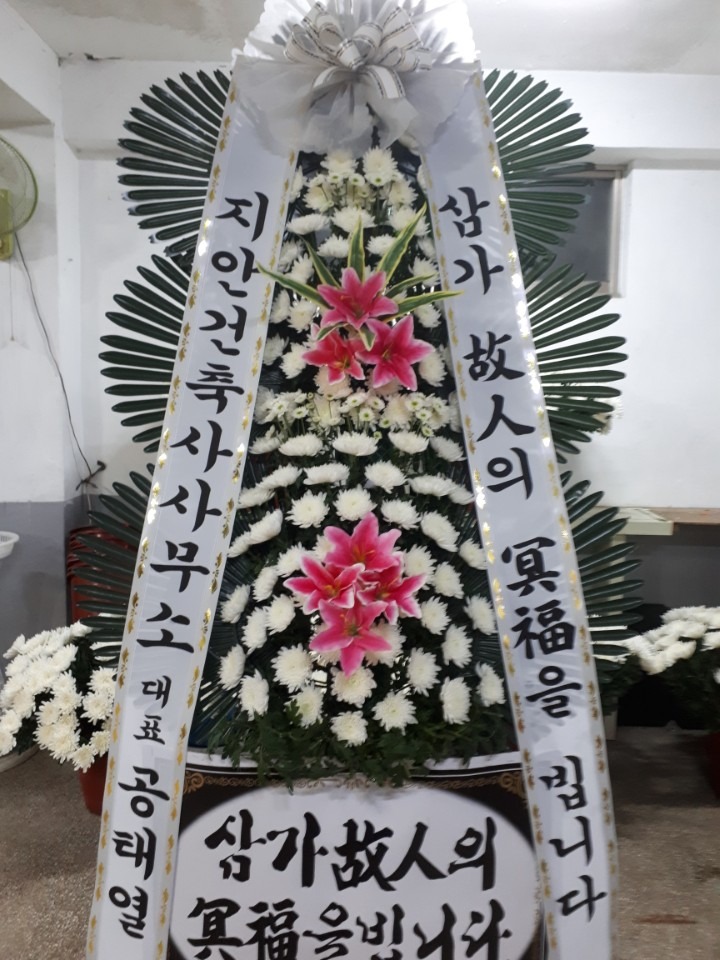뺴ʽ...