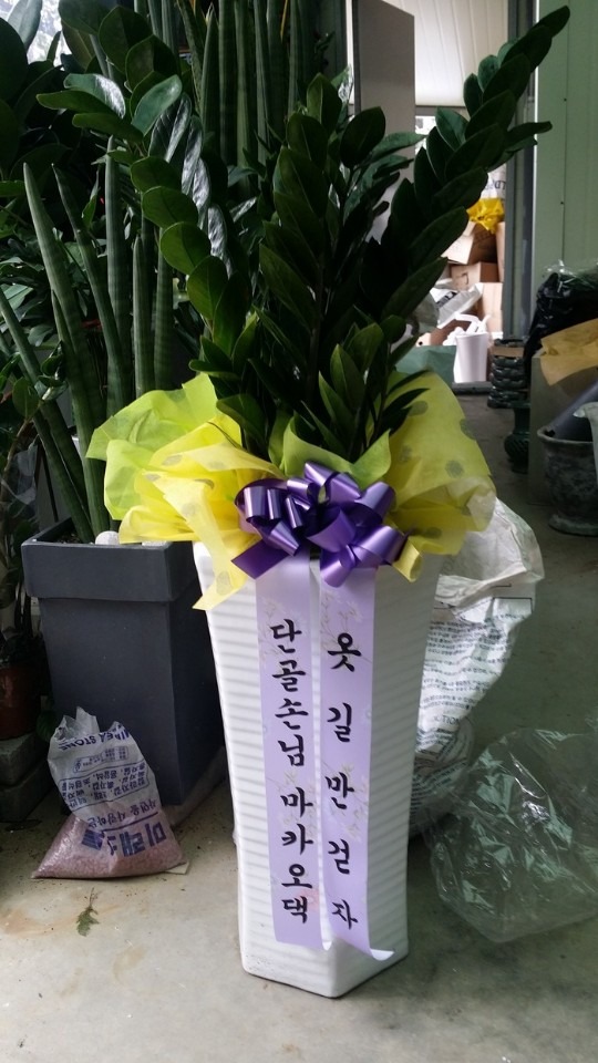 뱸 ˾...