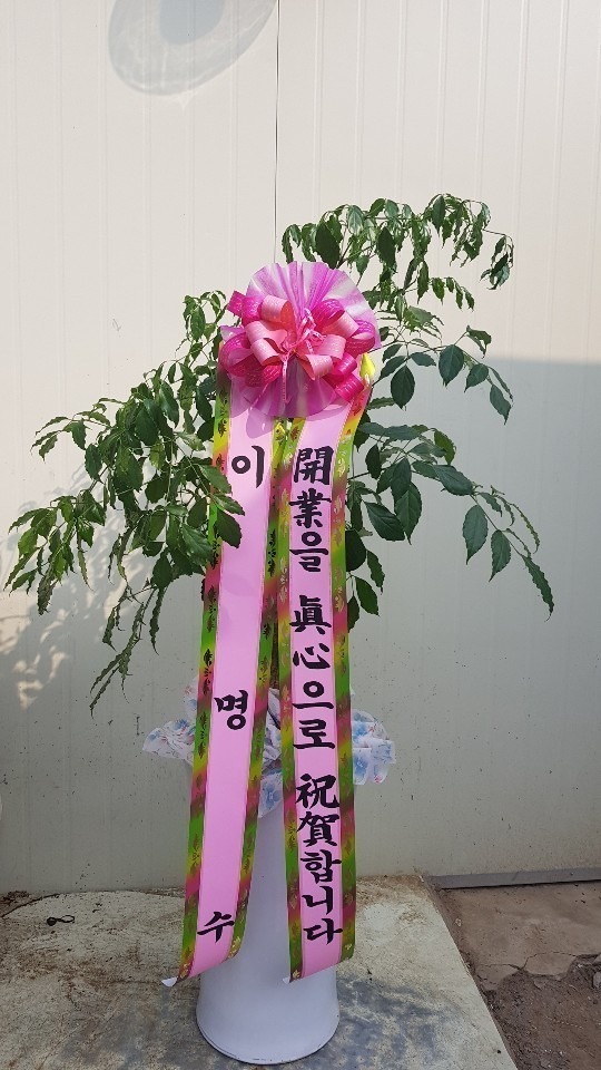 뱸 ....