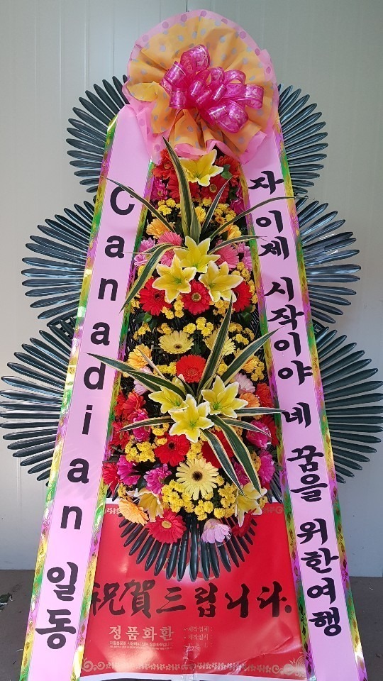 뱸Ȧ...