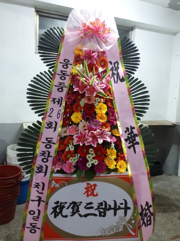Ͽ콺...