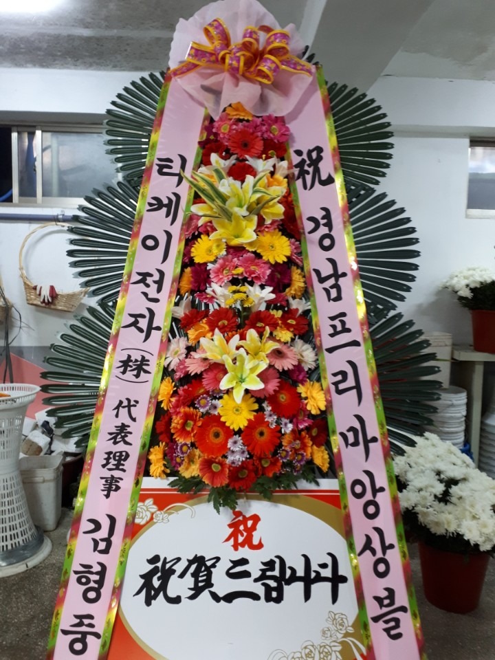 ƮȦ밭....