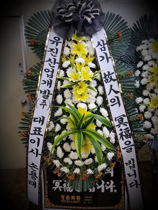 뱸뺴ʽ....