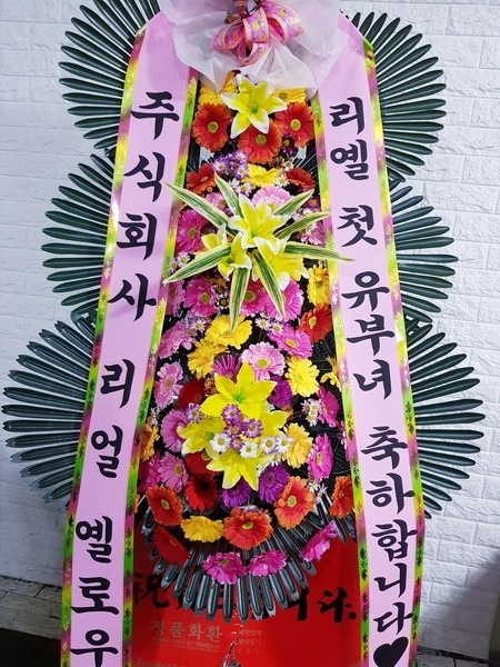 뱸 ǿȦ...