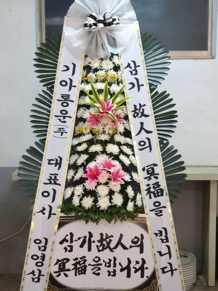 뺴ʽ...