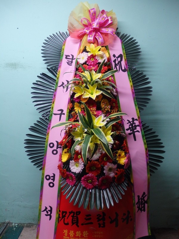 뱸 ͺҰȣڷ...