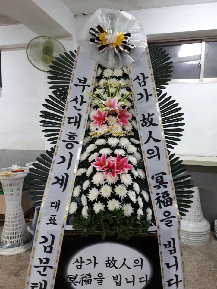 뺴ʽ...