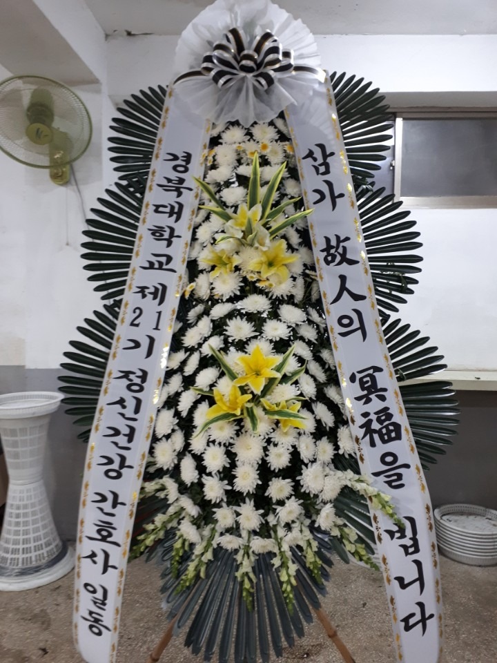 뺴ʽ...