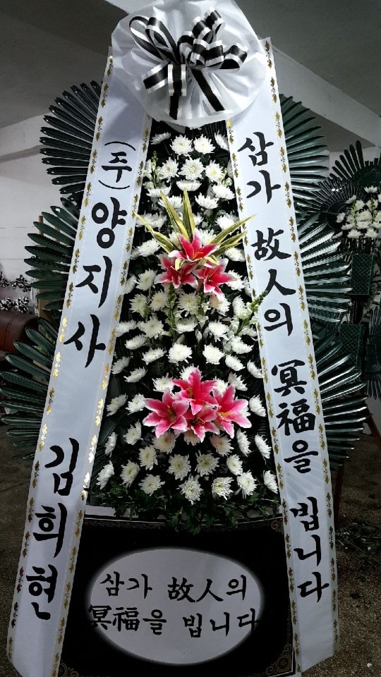 뺴ʽ...