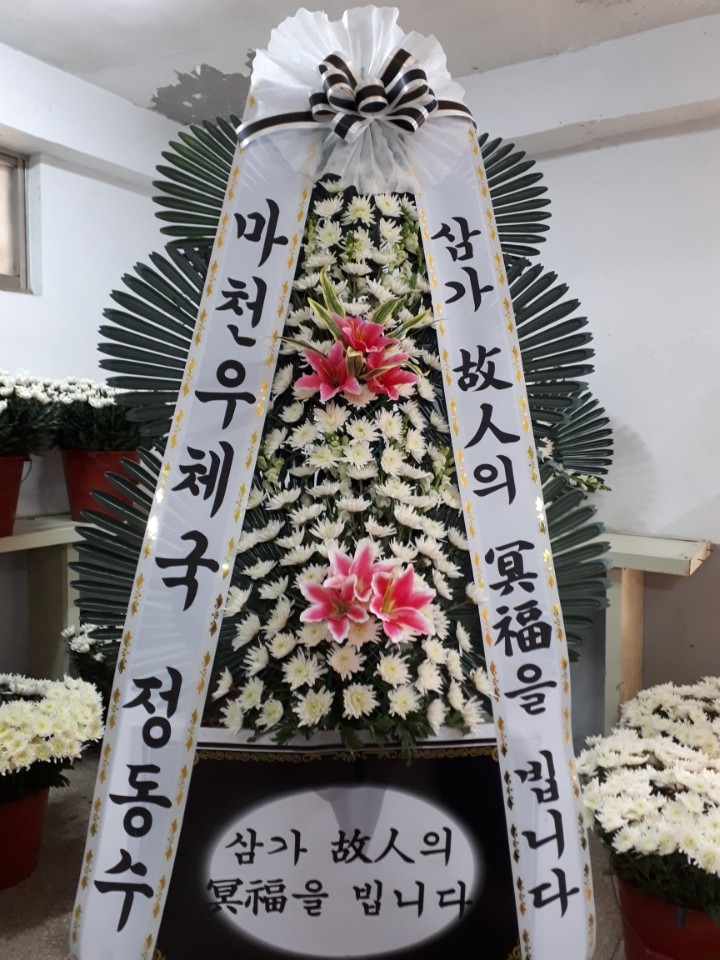 뺴ʽ...