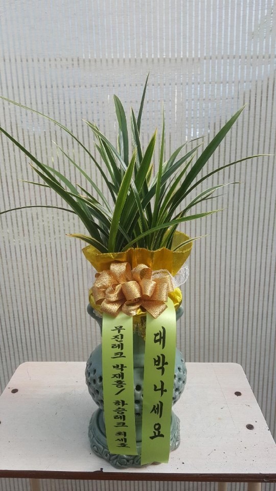 湮Ͻ...