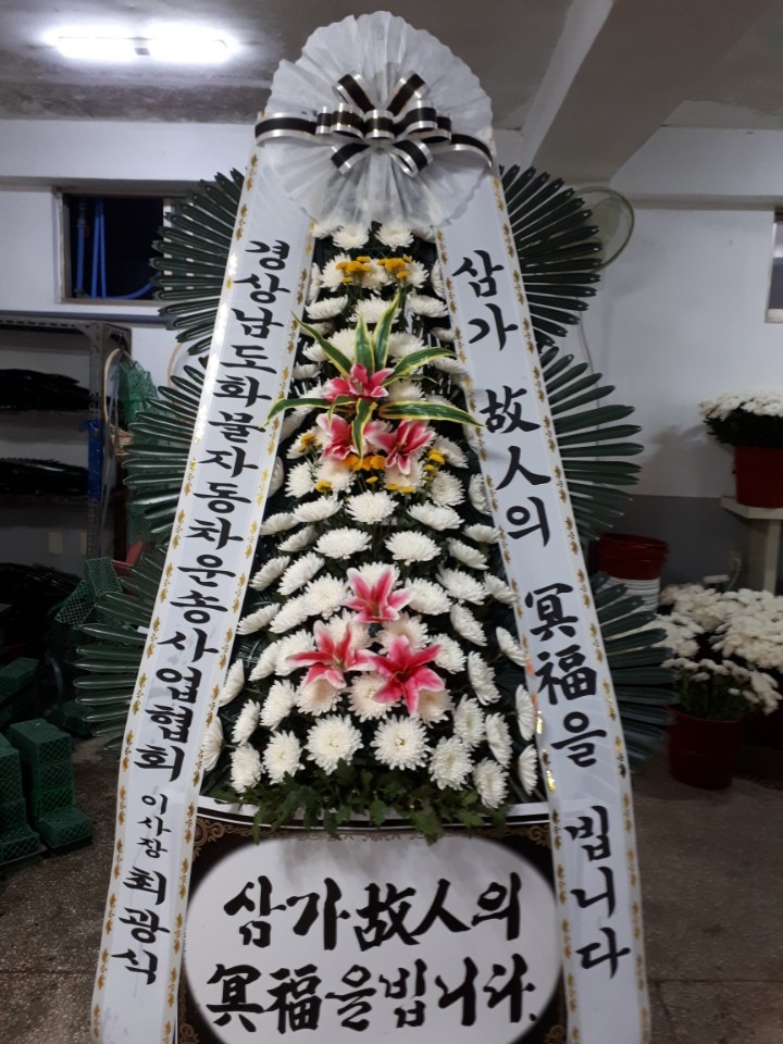 뺴ʽ...