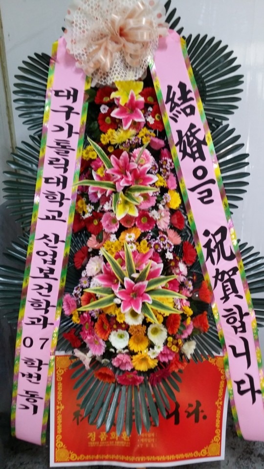 뱸 ̴ȣȦ...