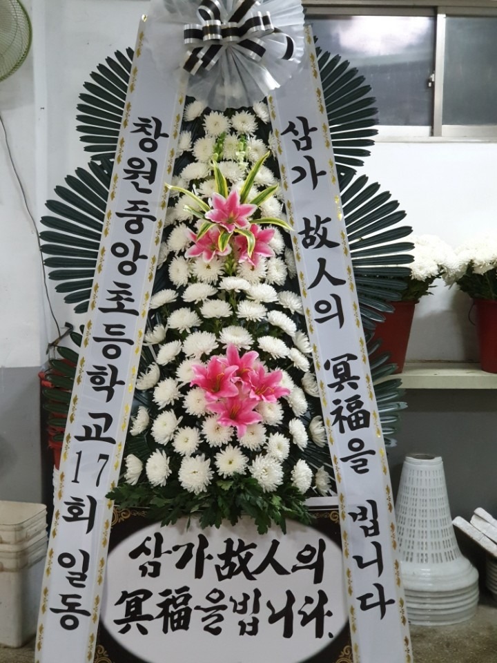 뺴ʽ...