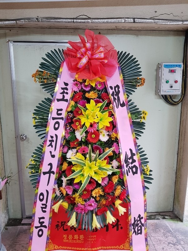 뱸 ȣڿȦ...