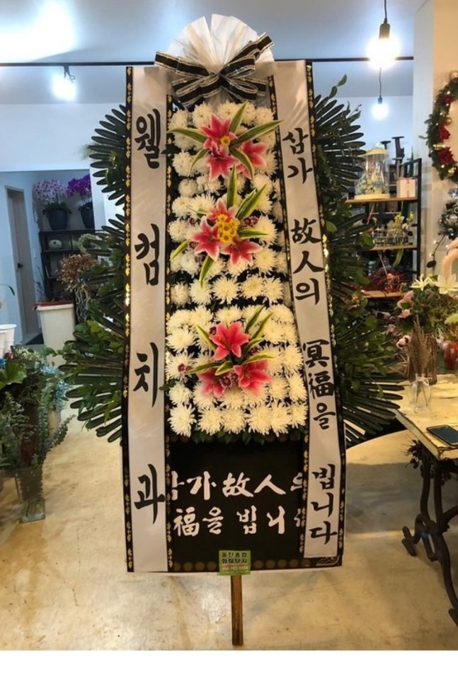  纴ʽ...