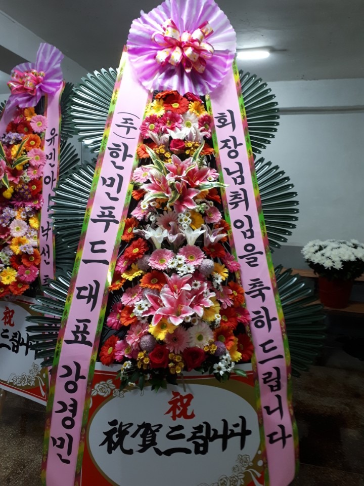 ȿ뵿ǿȦ...