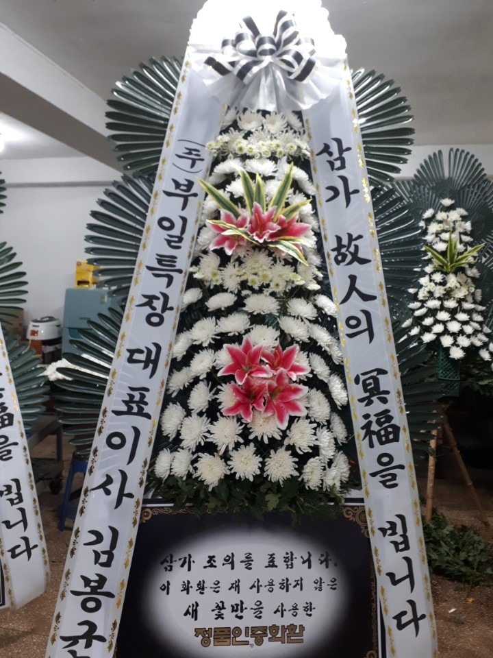뺴ʽ...