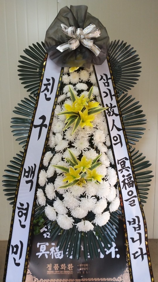 뱸ʽ...