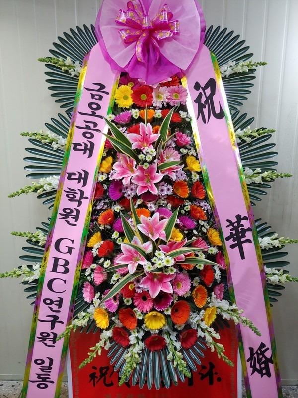 뱸ȣͺҰ...