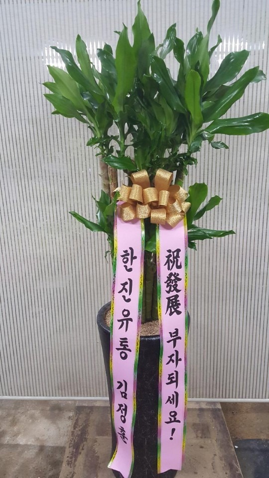 Ҵ䵿 Ÿ¥...