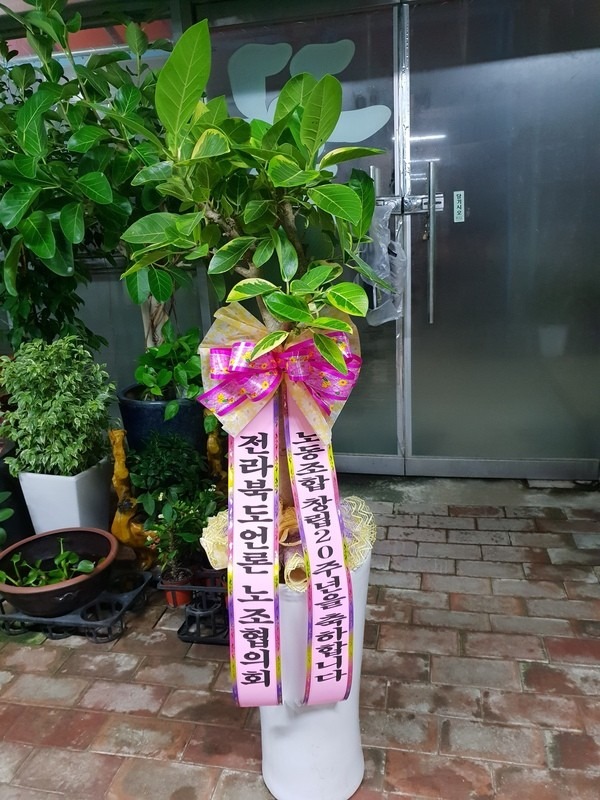 ֹ۱뵿...