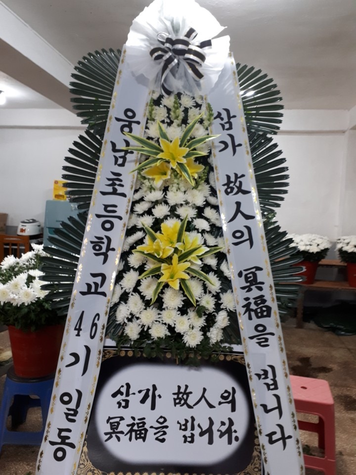 뺴ʽ...