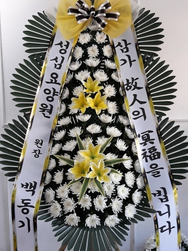 뱸 𺴿ʽ....