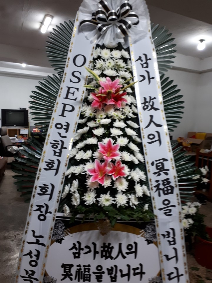뺴ʽ...