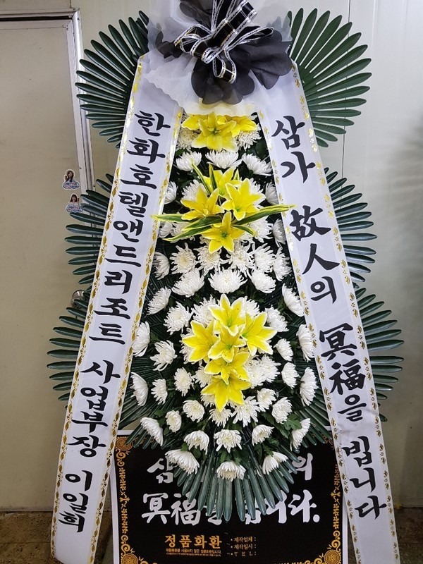 뱸縯кʽ,....