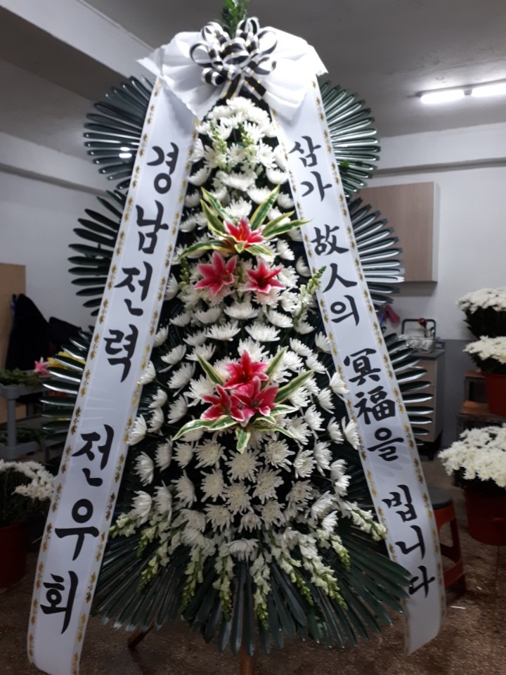 뺴ʽ...