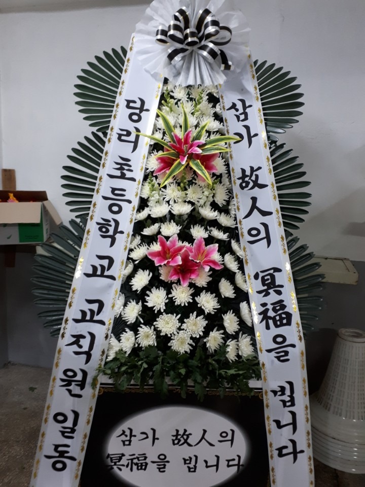 뺴ʽ...