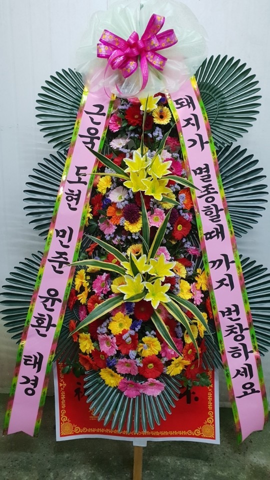 뱸 Ѻ Ҹ̷...
