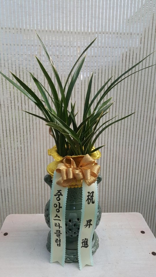  泲ົ....