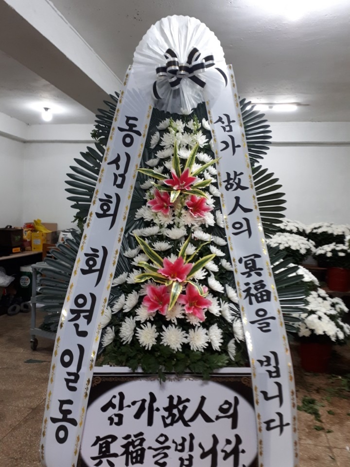뺴ʽ...