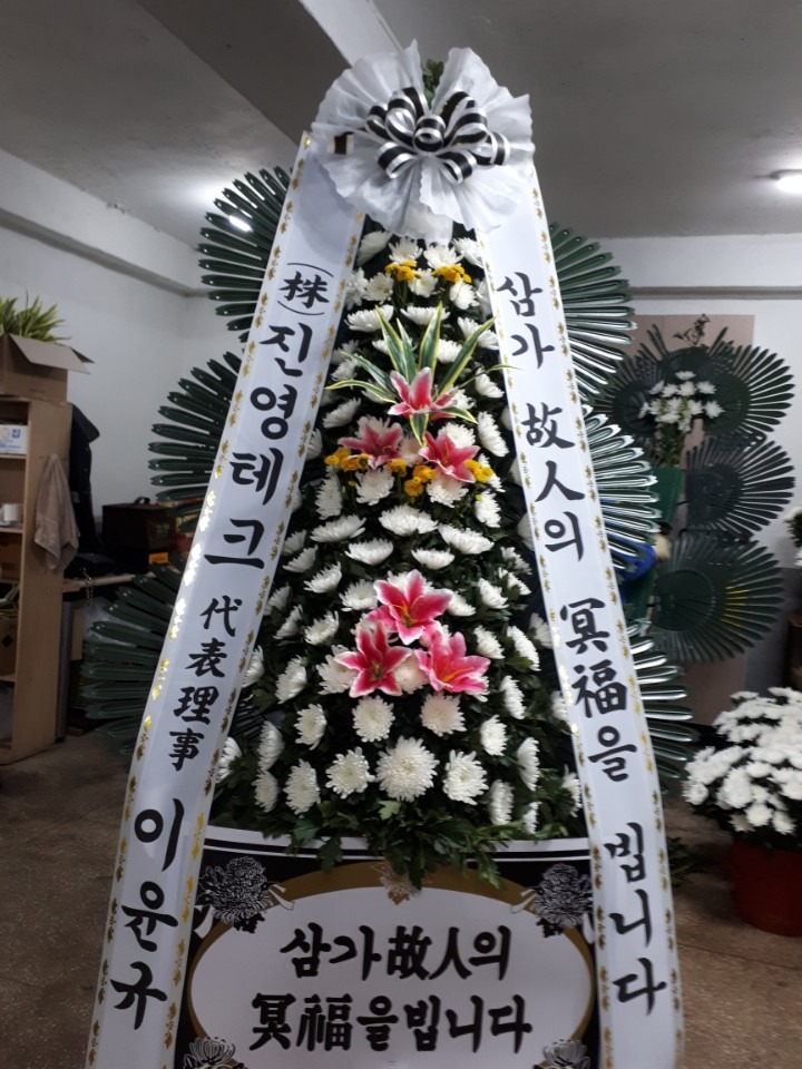 뺴ʽ...
