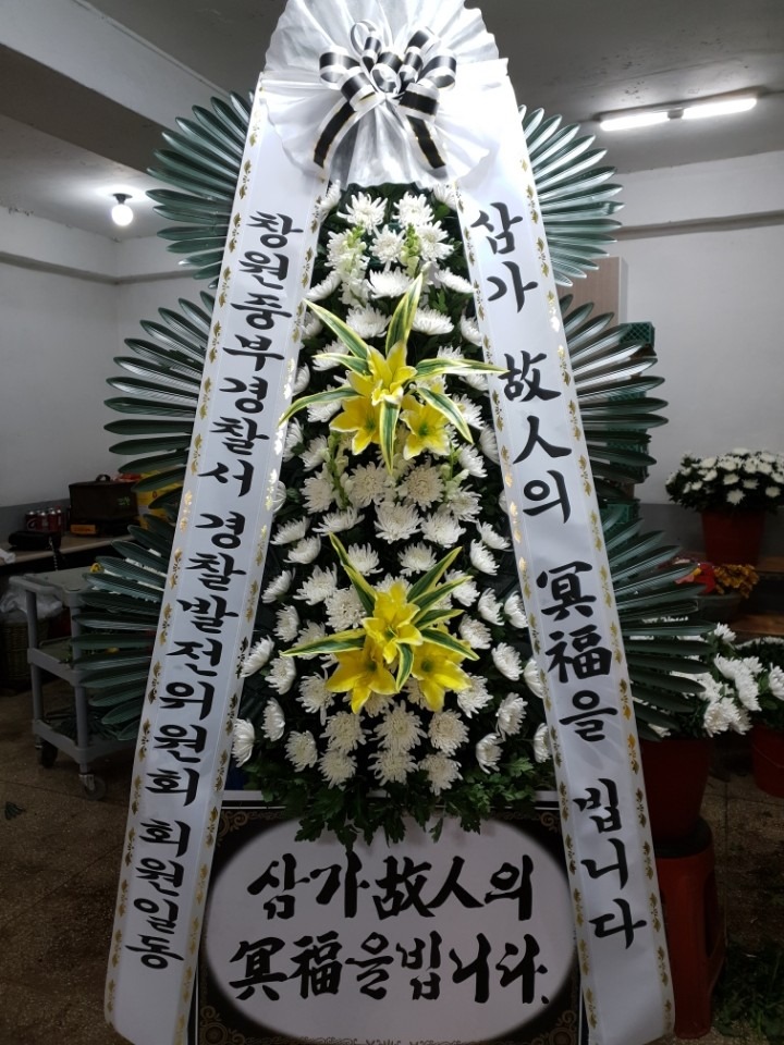 뺴ʽ...