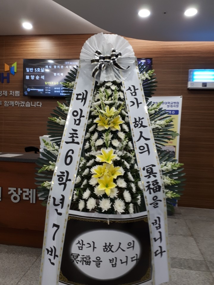 뺴ʽ...
