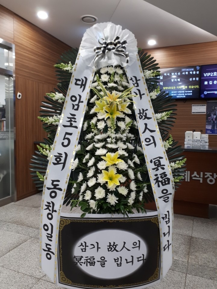 뺴ʽ...