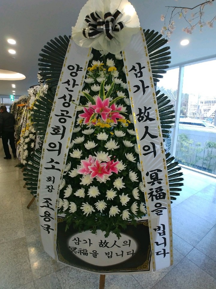 뺴ʽ...